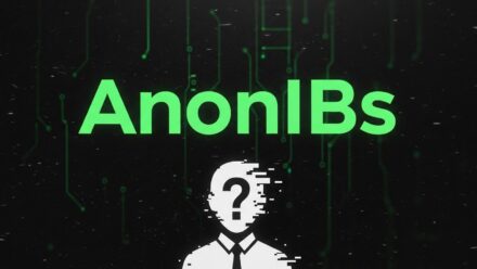 What was AnonIBs