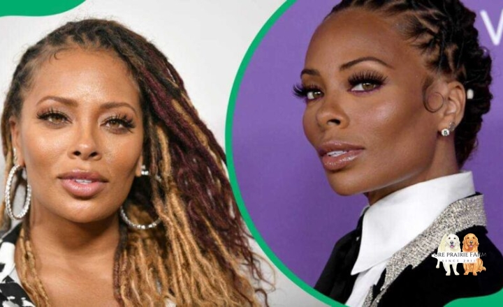 Eva Marcille Twin Sister: The Truth Behind the Rumor