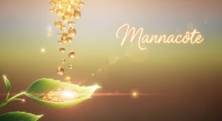 Mannacote: 7 Powerful Benefits and Smart Uses for Thriving Plants