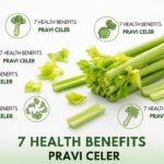 Health Benefits pravI celer