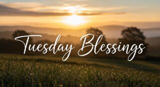 Tuesday Blessings to Uplift Your Heart and Guide Your Day