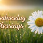 Wednesday Blessings
